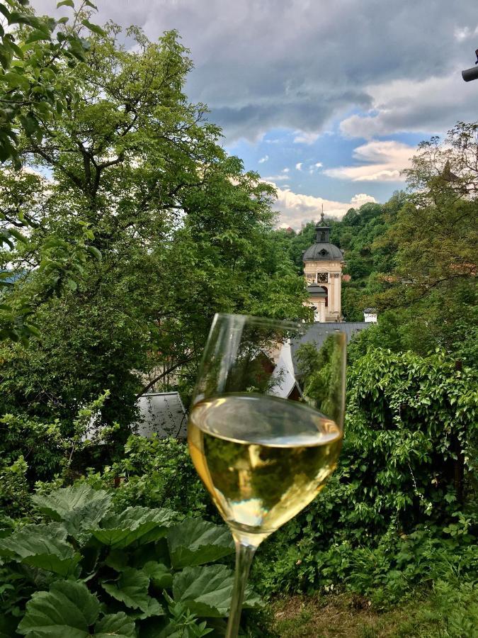 Apartman Franko Banská Štiavnica 外观 照片